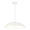 Подвесной светильник ST-Luce SL6128.503.01