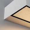 Настенный светильник (бра) Outdoor O428WL-L10W3K