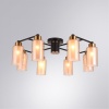 Накладная люстра ARTE Lamp A7027PL-8BK