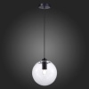 Подвесной светильник ST-Luce SL1056.413.01