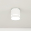 Накладной светильник Citilux CL745020N