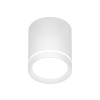 Накладной светильник Denkirs DK4013-WH