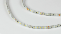 SWG Standard Светодиодная лента 2835, 120 LED/м, 9,6 Вт/м, 24В , IP65, 3M, Цвет: Холодный белый, SWG2120-24-9.6-W-65-M