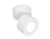 Спот Ambrella Light TN268