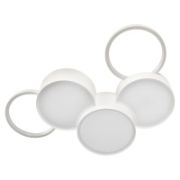 Накладной светильник LOFT IT 10317/5 White