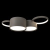 Накладной светильник LOFT IT 10317/4 Grey