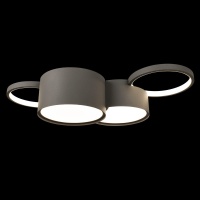 Накладной светильник LOFT IT 10317/4 Grey