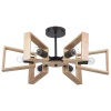 Люстра на штанге ARTE Lamp A8030PL-6BK