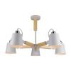 Люстра на штанге ARTE Lamp A7141PL-5WH