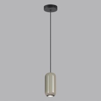 Подвесной светильник Odeon Light 5053/1D