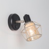 Спот Citilux CL542511