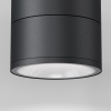 Потолочный светильник Outdoor O310CL-L12GF3K