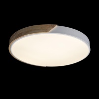 Накладной светильник LOFT IT 10004/36 White