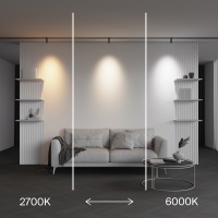 Трековый светильник Technical TR243-4-5WTW-DSZ-B