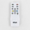 Накладная люстра Citilux CL238231E