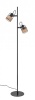 Торшер Vele Luce VL6472F02