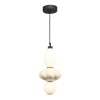 Подвесной светильник ST-Luce SL6134.413.01