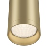 Накладной светильник Maytoni C010CL-01MG