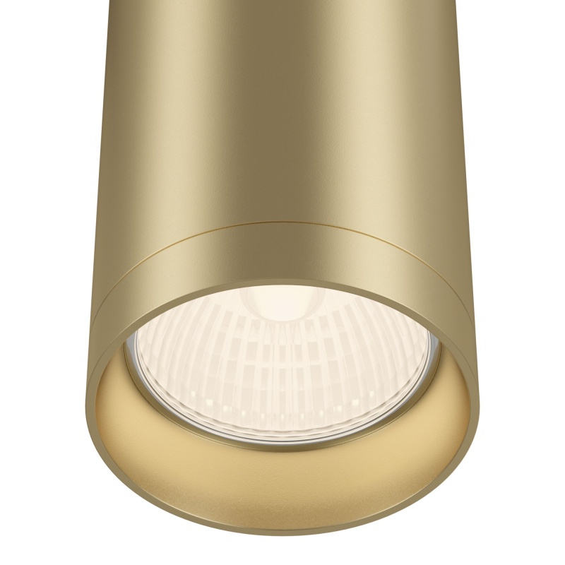 Накладной светильник Maytoni C010CL-01MG