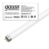 Светодиодная лампа Gauss 93020