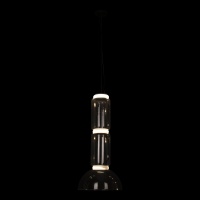 Подвесная люстра LOFT IT 10192/M