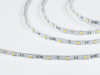 SWG Standard Светодиодная лента 5050, 30 LED/м, 7,2 Вт/м, 12В , IP20, Цвет: Нейтральный белый, SWG530-12-7.2-NW-M