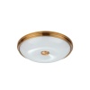 Накладной светильник Odeon Light 4956/4