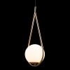 Подвесной светильник LOFT IT LOFT2599-A
