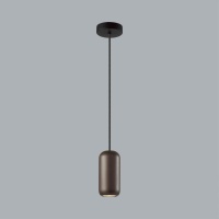 Подвесной светильник Odeon Light 5060/1D