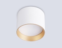 Накладной светильник Ambrella Light TN5304