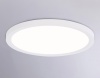 Накладной светильник Ambrella Light FZ1907