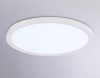 Накладной светильник Ambrella Light FZ1905