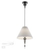 Подвесной светильник Odeon Light 4896/1