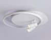 Накладной светильник Ambrella Light FL51391
