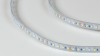SWG Standard Светодиодная лента 3528, 120 LED/м, 9,6 Вт/м, 24В , IP66, Цвет: Холодный белый, SWG3120-24-9.6-W-66-M