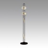 Торшер Odeon Light 5407/23FL