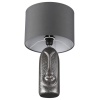 Настольная лампа LUMION 8146/1T