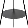 Торшер Citilux CL806022