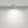 Потолочный светильник Technical C032CL-12W4K-RD-W