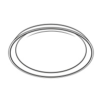 Накладной светильник Citilux CL752450G