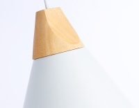 Подвесной светильник Ambrella Light TR8195