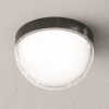 Потолочный светильник Outdoor O438CL-L12GF3K