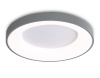 Накладной светильник Ambrella Light FZ1402