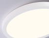 Накладной светильник Ambrella Light FZ1903