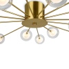 Потолочный светильник Freya FR5242CL-16BS1