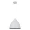 Подвесной светильник ARTE Lamp A2055SP-1WH