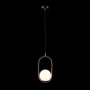 Подвесной светильник LOFT IT LOFT2595-A