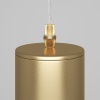 Подвесной светильник Maytoni P075PL-01MG