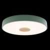 Детский светильник LOFT IT 10003/24 Green