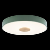 Детский светильник LOFT IT 10003/24 Green